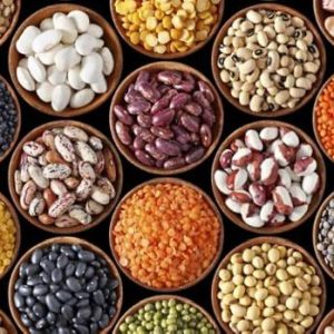 Beans