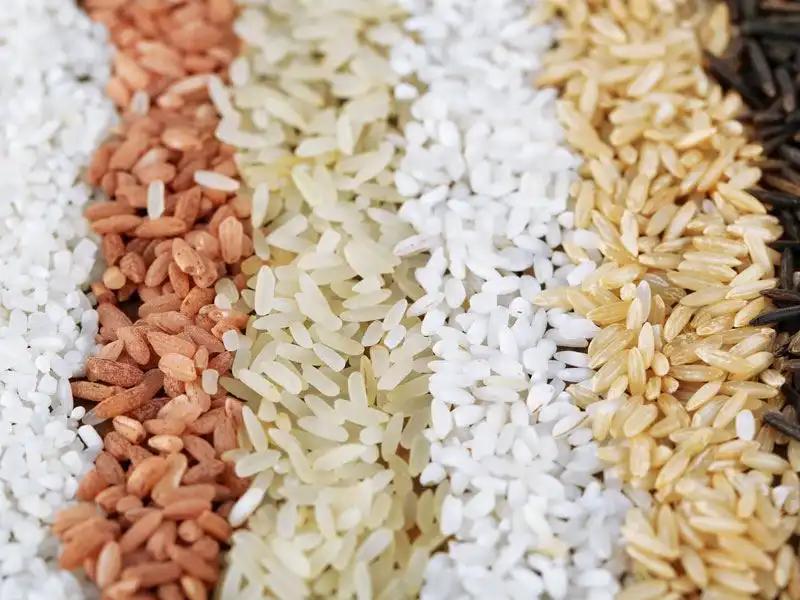 Rice