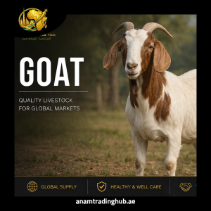 Goat